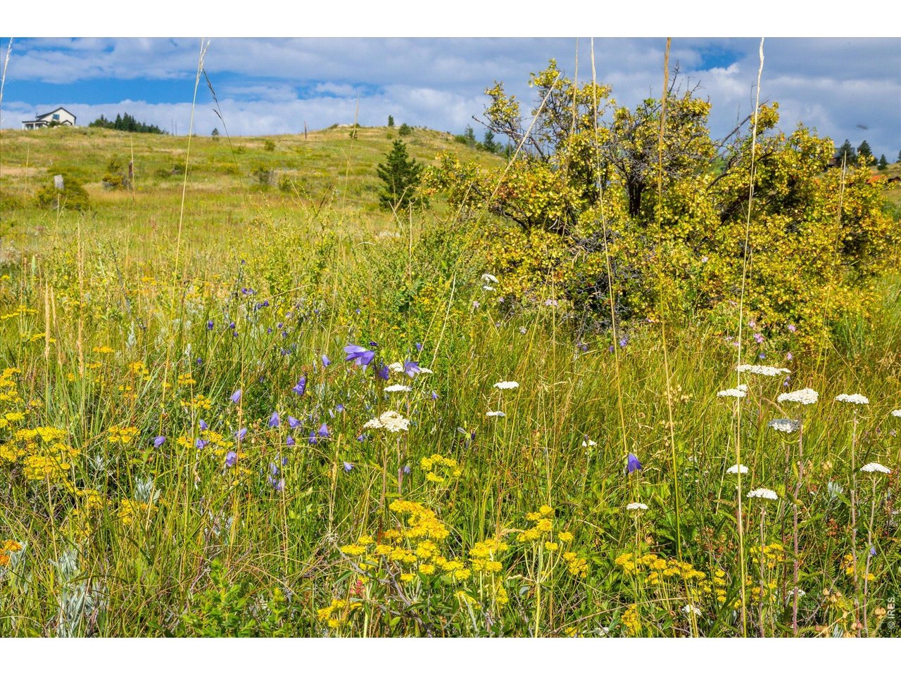 730 Lost Angel Road Boulder, CO 80302 - Photo 23 of 30