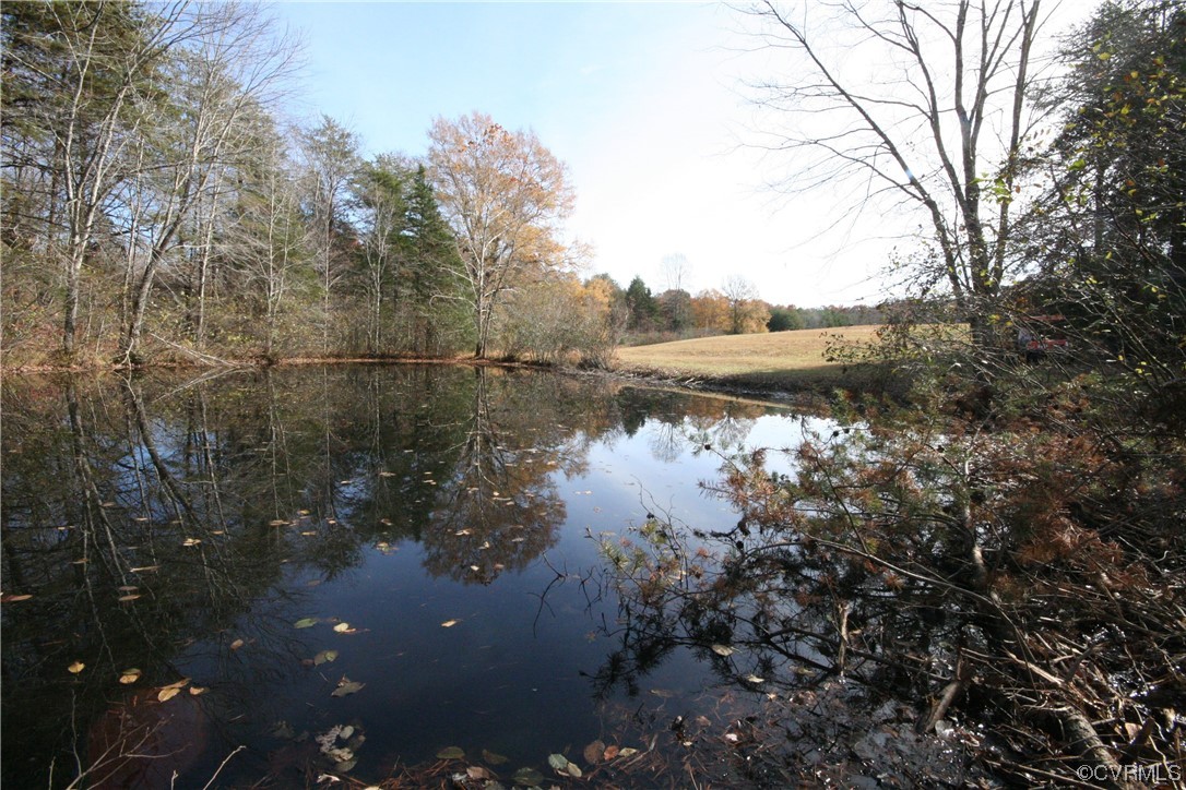 a view of lake with trees