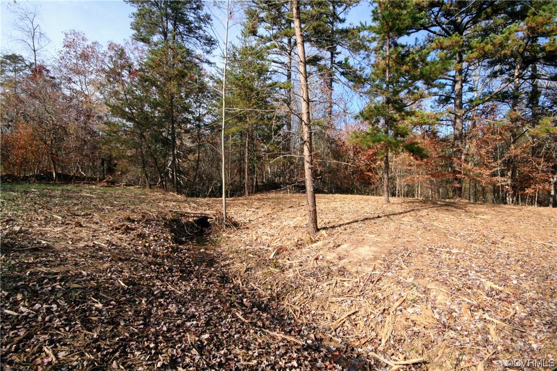 11480 Howardsville Road Howardsville, VA 24562 - Photo 25 of 50 a view of a yard with trees