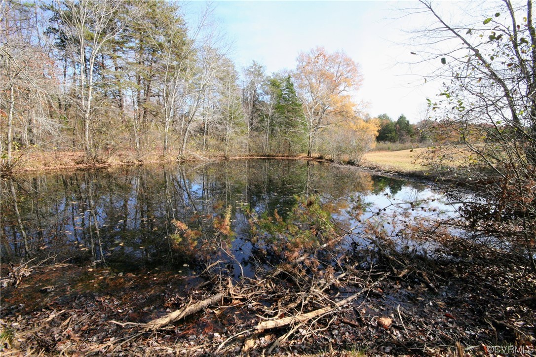 11480 Howardsville Road Howardsville, VA 24562 - Photo 26 of 50 a view of a forest with trees