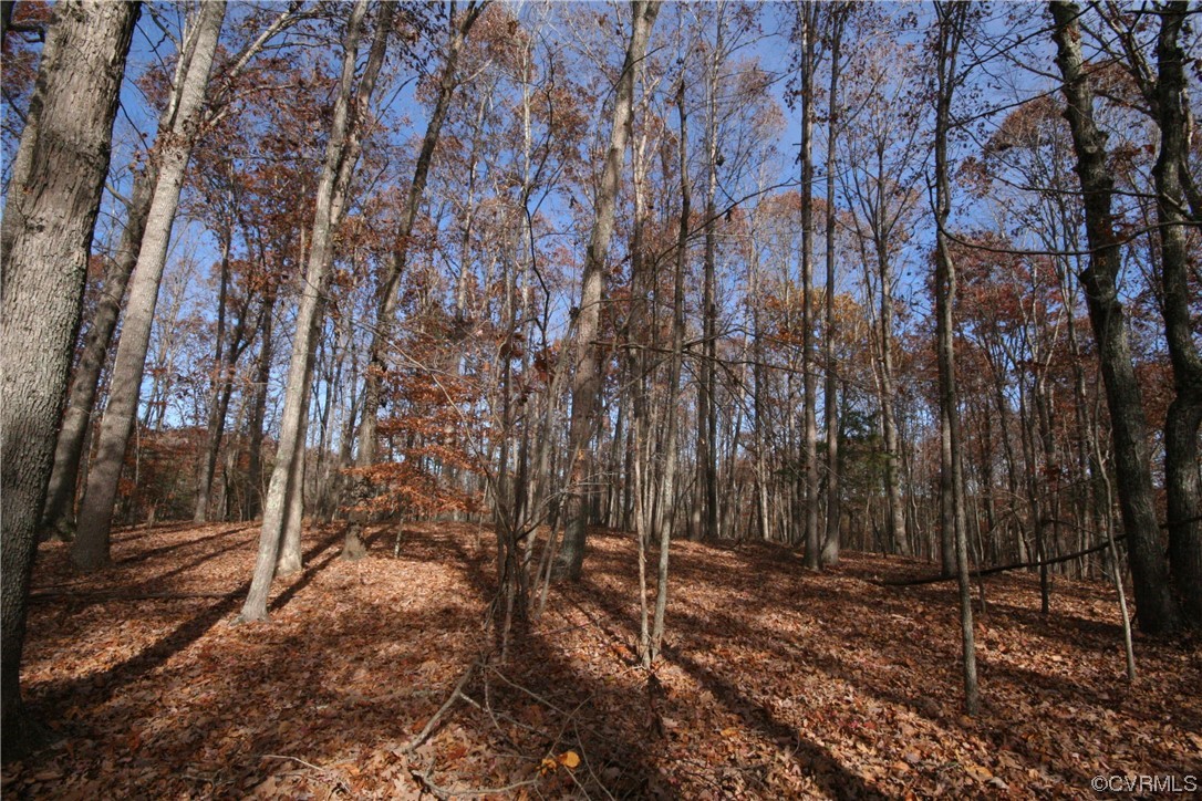 11480 Howardsville Road Howardsville, VA 24562 - Photo 31 of 50 a backyard of a house with lots of green space