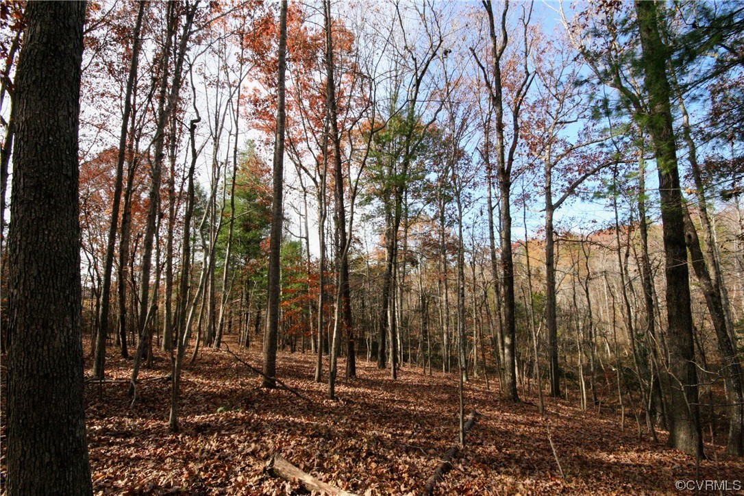 11480 Howardsville Road Howardsville, VA 24562 - Photo 35 of 50 a view of outdoor space with lots of trees