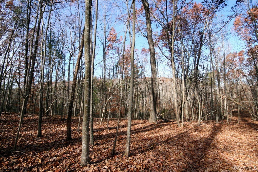 11480 Howardsville Road Howardsville, VA 24562 - Photo 40 of 50 a backyard of a house with lots of trees
