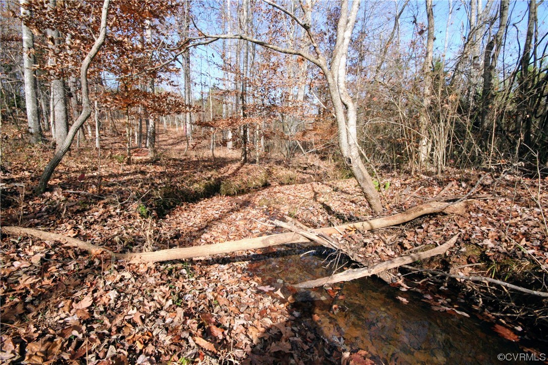 11480 Howardsville Road Howardsville, VA 24562 - Photo 43 of 50