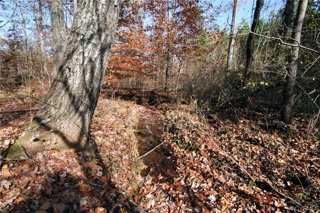 11480 Howardsville Road Howardsville, VA 24562 - Photo 44 of 50 a view of a yard