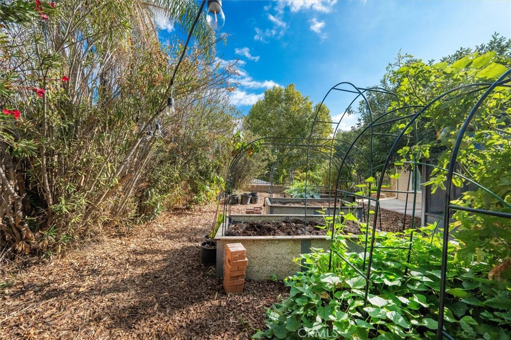 31347 Quail Valley Road Castaic, CA 91384 - Photo 32 of 41 a backyard of a house with lots of green space