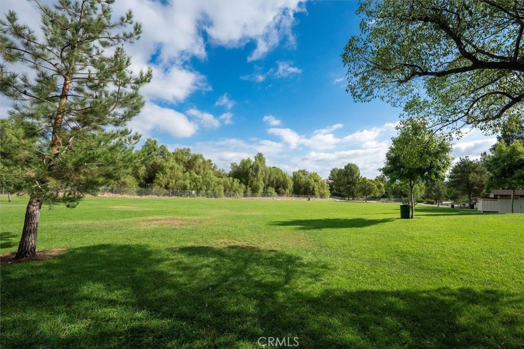 31347 Quail Valley Road Castaic, CA 91384 - Photo 40 of 41 a view of field with trees in the background