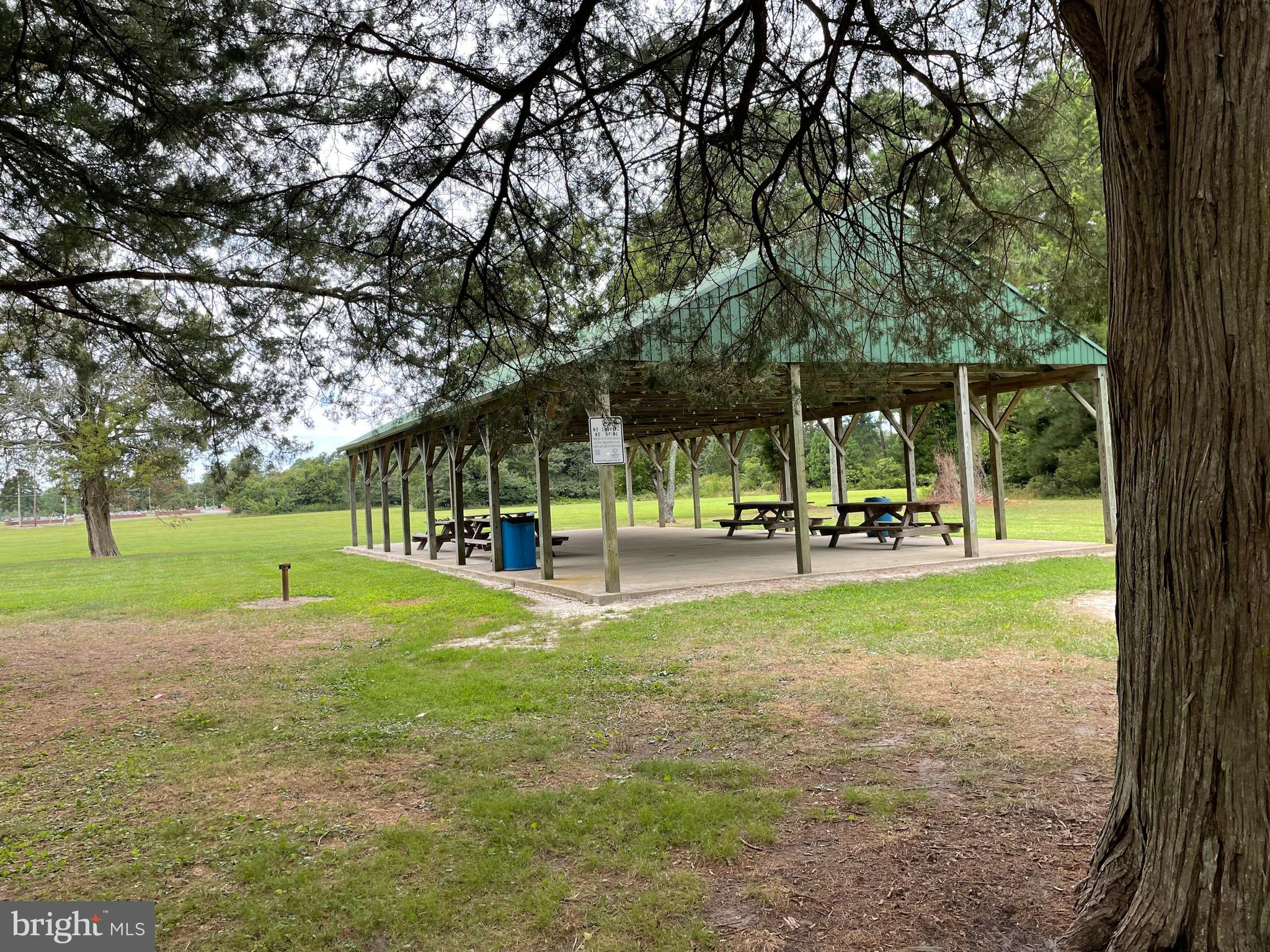 26465 Mason Webster Road Princess Anne, MD 21853 - Photo 16 of 63 Community Picnic Area