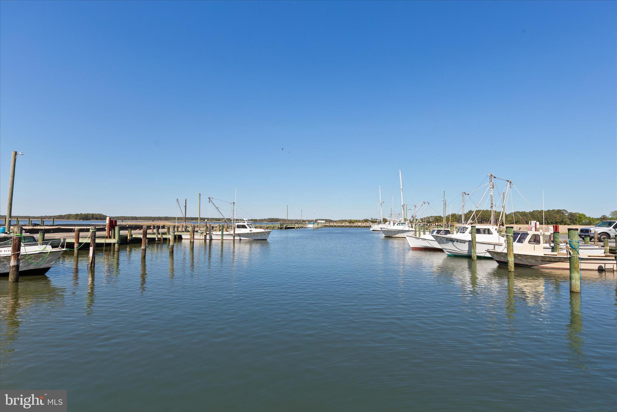 26465 Mason Webster Road Princess Anne, MD 21853 - Photo 42 of 63 Walking Distance to Marina