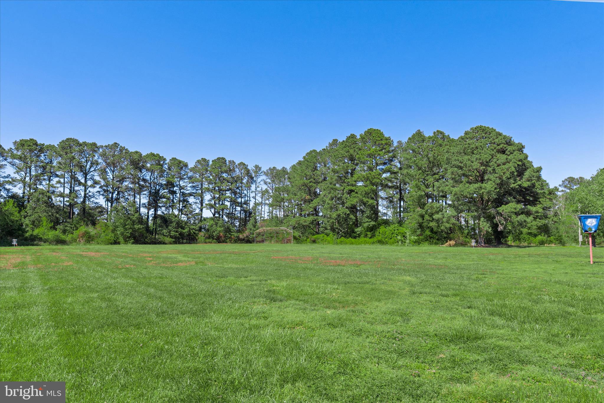 26465 Mason Webster Road Princess Anne, MD 21853 - Photo 51 of 63 Disc Golf Course & Field