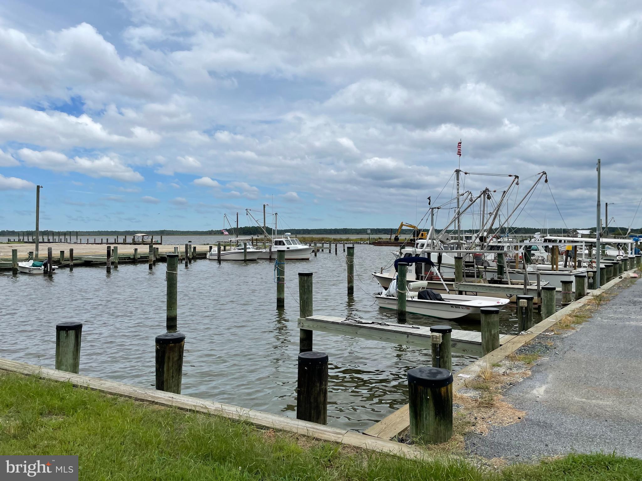 26465 Mason Webster Road Princess Anne, MD 21853 - Photo 6 of 14 Walkable to Mt Vernon Harbor