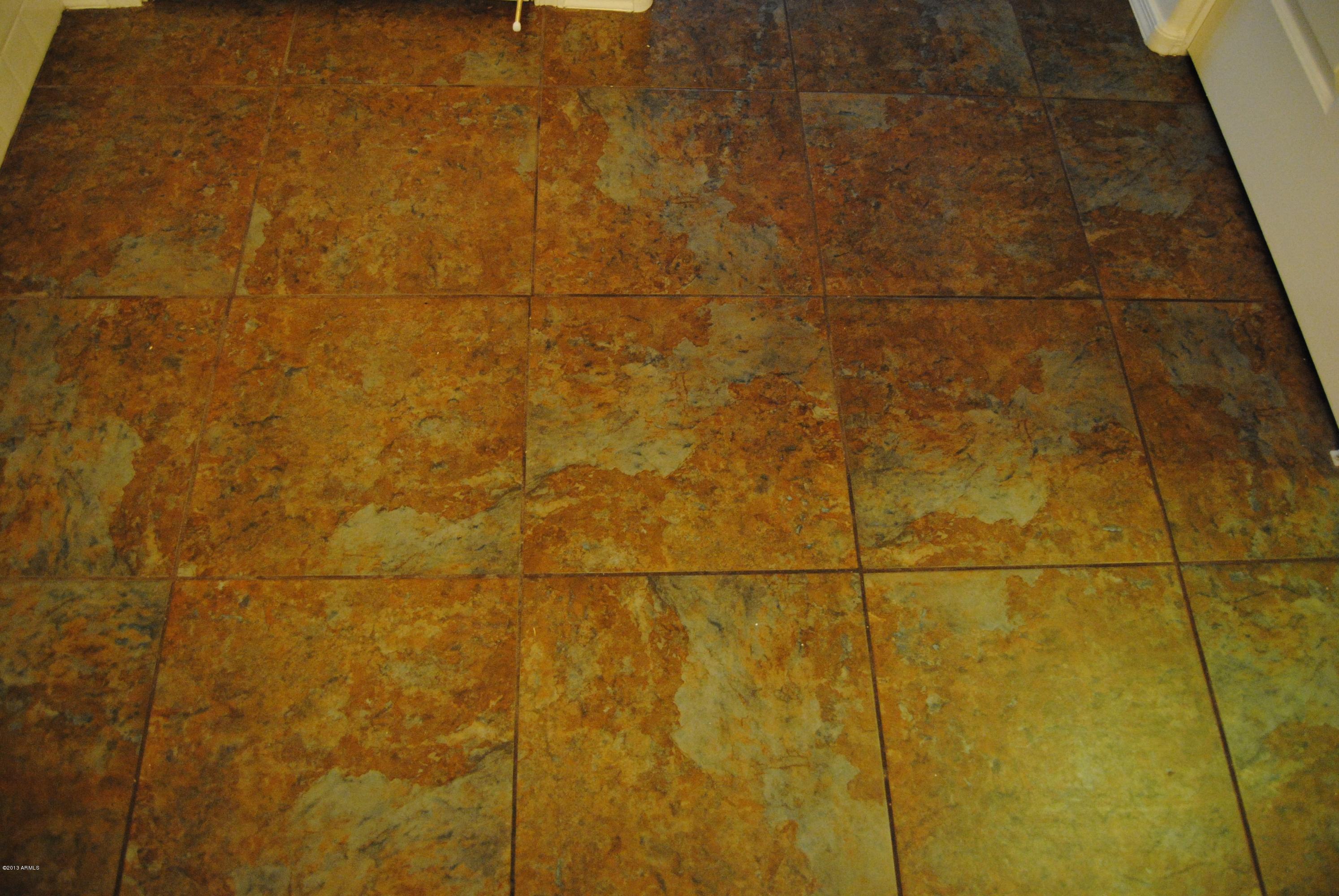 5408 West Pecan Road Laveen, AZ 85339 - Photo 8 of 19 Large Designer Tile