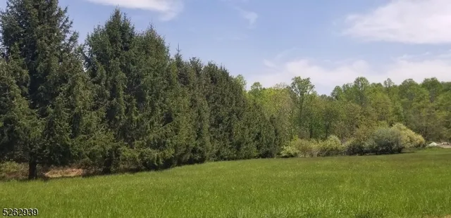 a view of a field of grass and trees