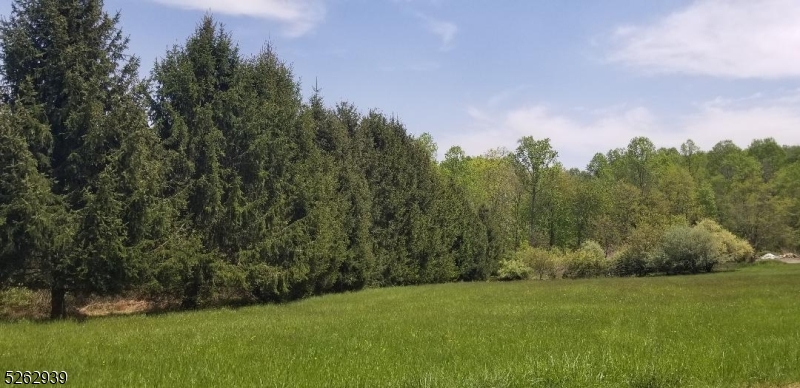 394 Hoffman Road Port Murray, NJ 07865 - Photo 2 of 6 a view of a field of grass and trees