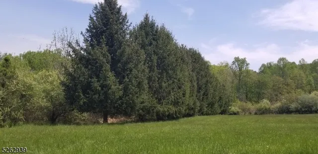 a view of a grassy field