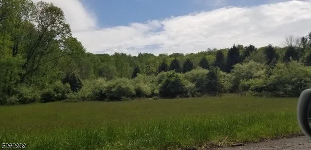 a view of a green field with trees