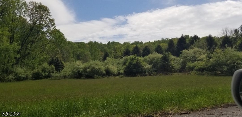394 Hoffman Road Port Murray, NJ 07865 - Photo 4 of 6 a view of a green field with trees