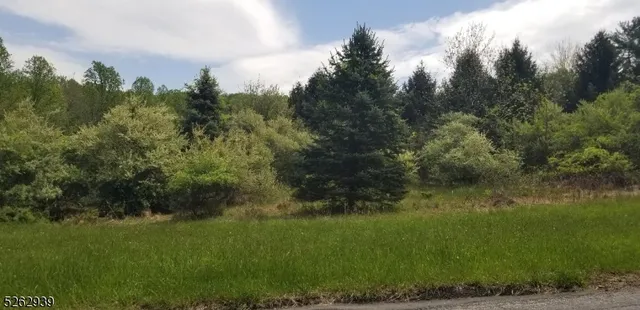 a view of a lush green space