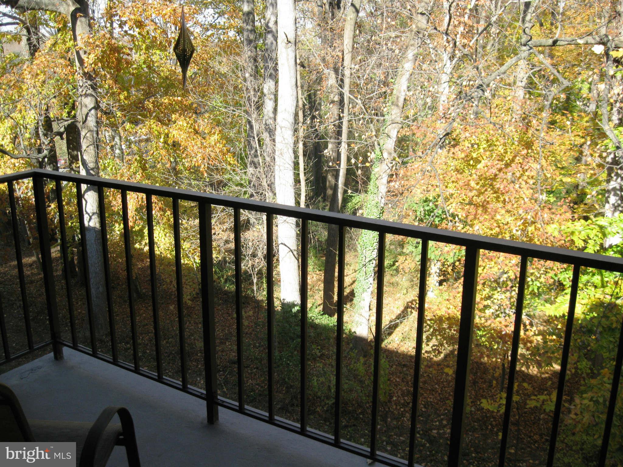 7908 Inverton Road, Unit 303 Annandale, VA 22003 - Photo 15 of 15 View