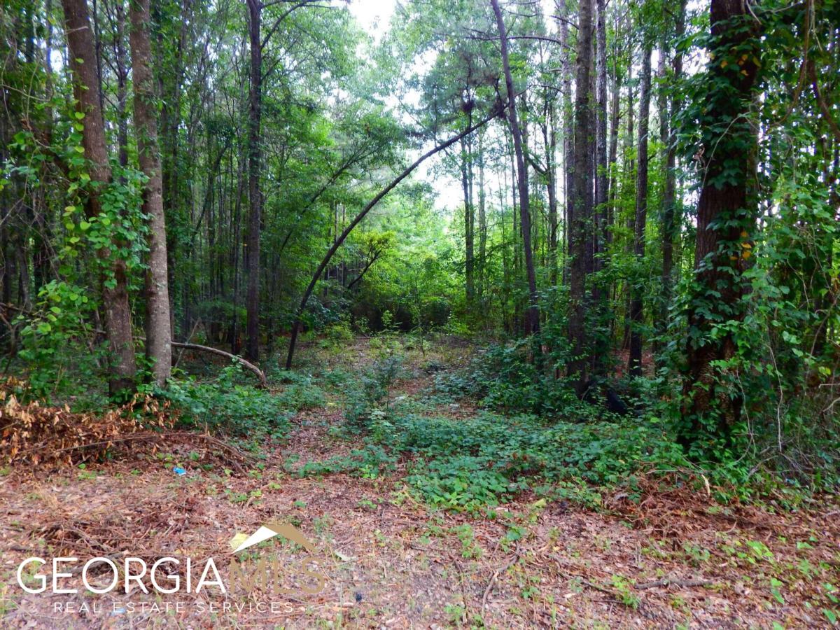 912 Minter Road Griffin, GA 30223 - Photo 1 of 1 a big yard with lots of green space and trees