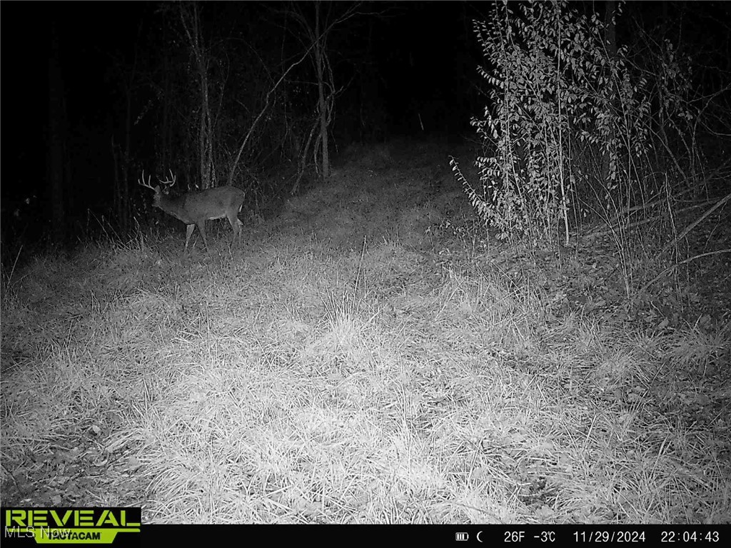 3500 Dixon Ridge Road Lowell, OH 45744 - Photo 8 of 37