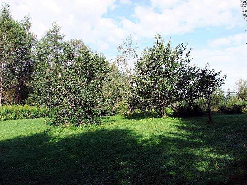 726 Ludlow Road Houlton, ME 04730 - Photo 7 of 35 Land.
