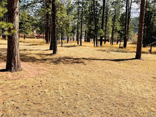 $50,000 | Undisclosed Address, Weston, CO 81091