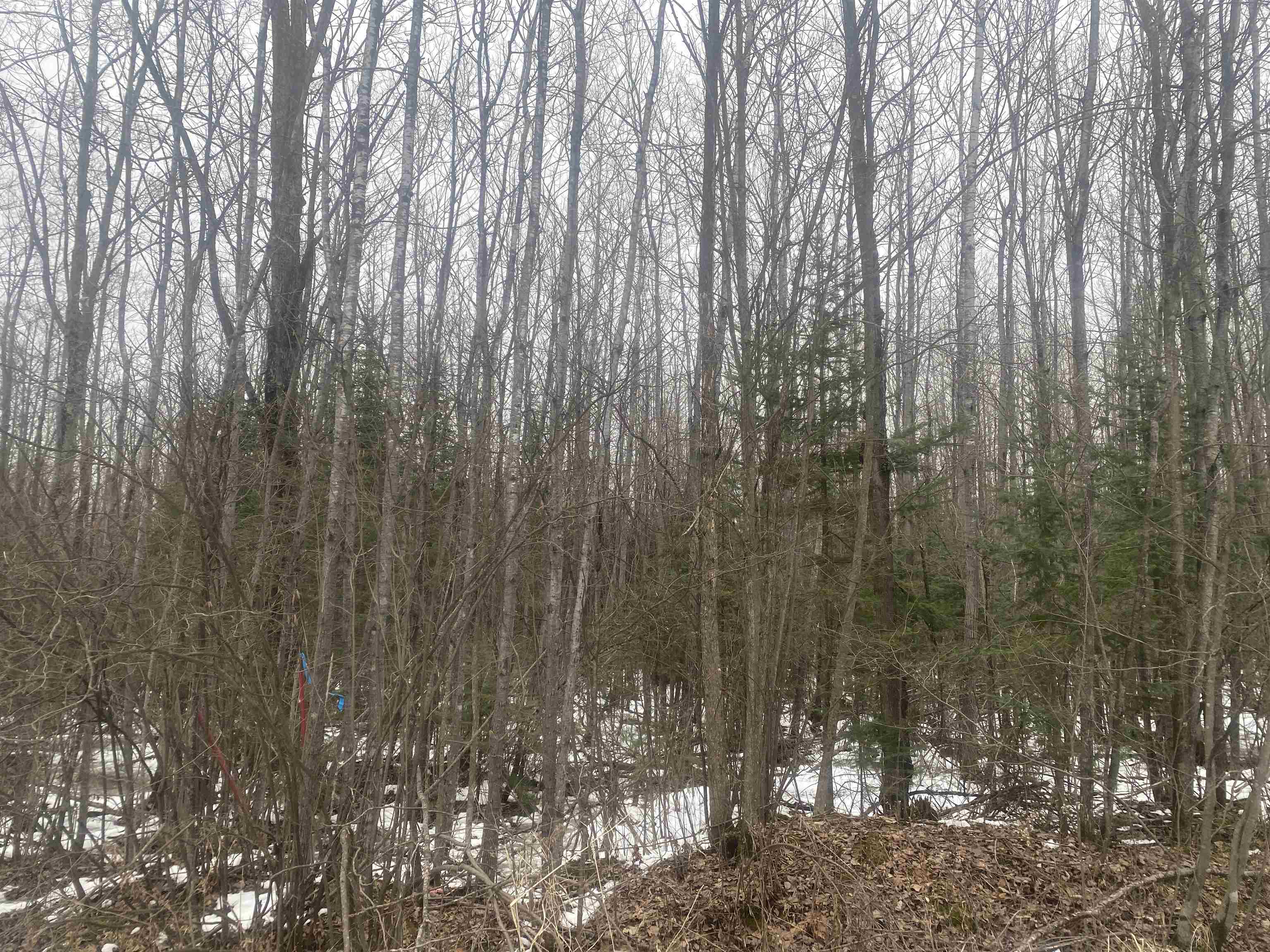 Near Spring Brook Avenue, Unit 8429 Merrill, WI 54452 - Photo 2 of 5