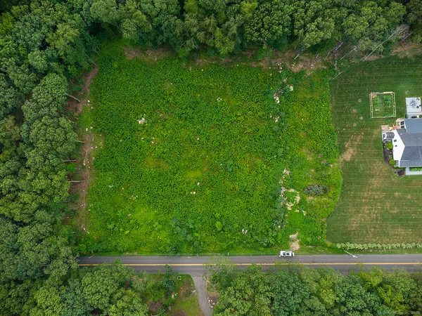 a view of a garden