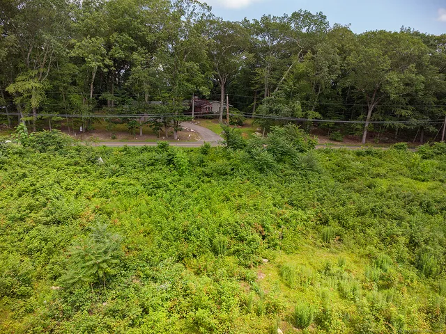 a view of outdoor space yard and trees