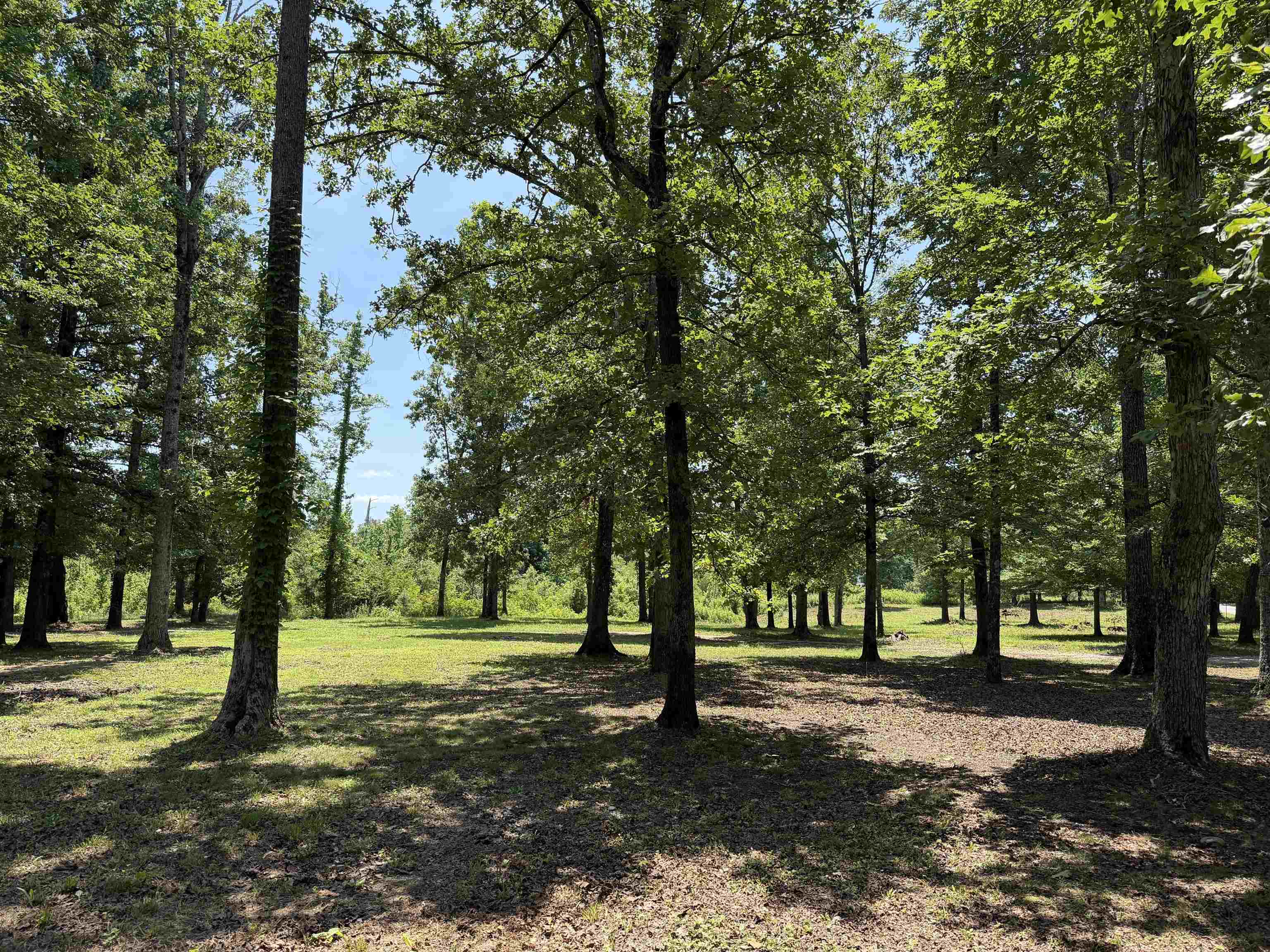 730 Old Union Road Adamsville, TN 38310 - Photo 33 of 40