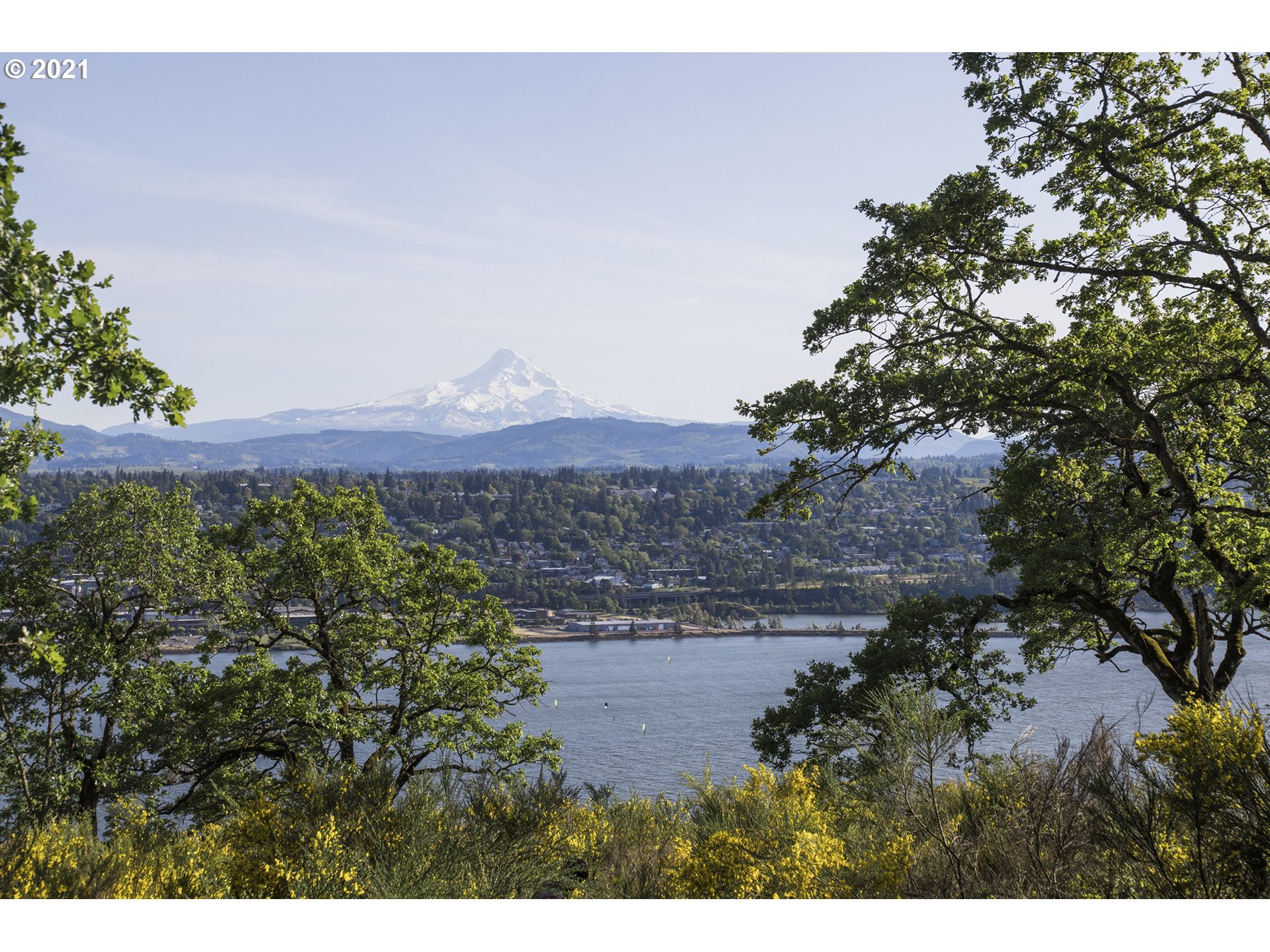 385 Southwest Eyrie Road White Salmon, WA 98672 - Photo 3 of 21 Gallery Image 3