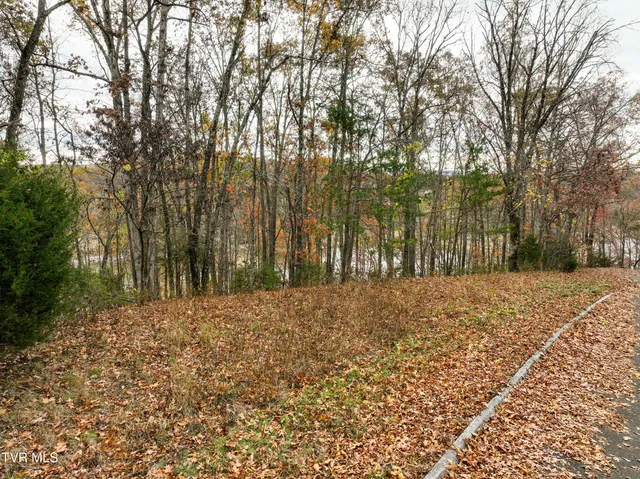 $185,000 | 121 Pointe Drive, Unit 6, Piney Flats, TN 37686