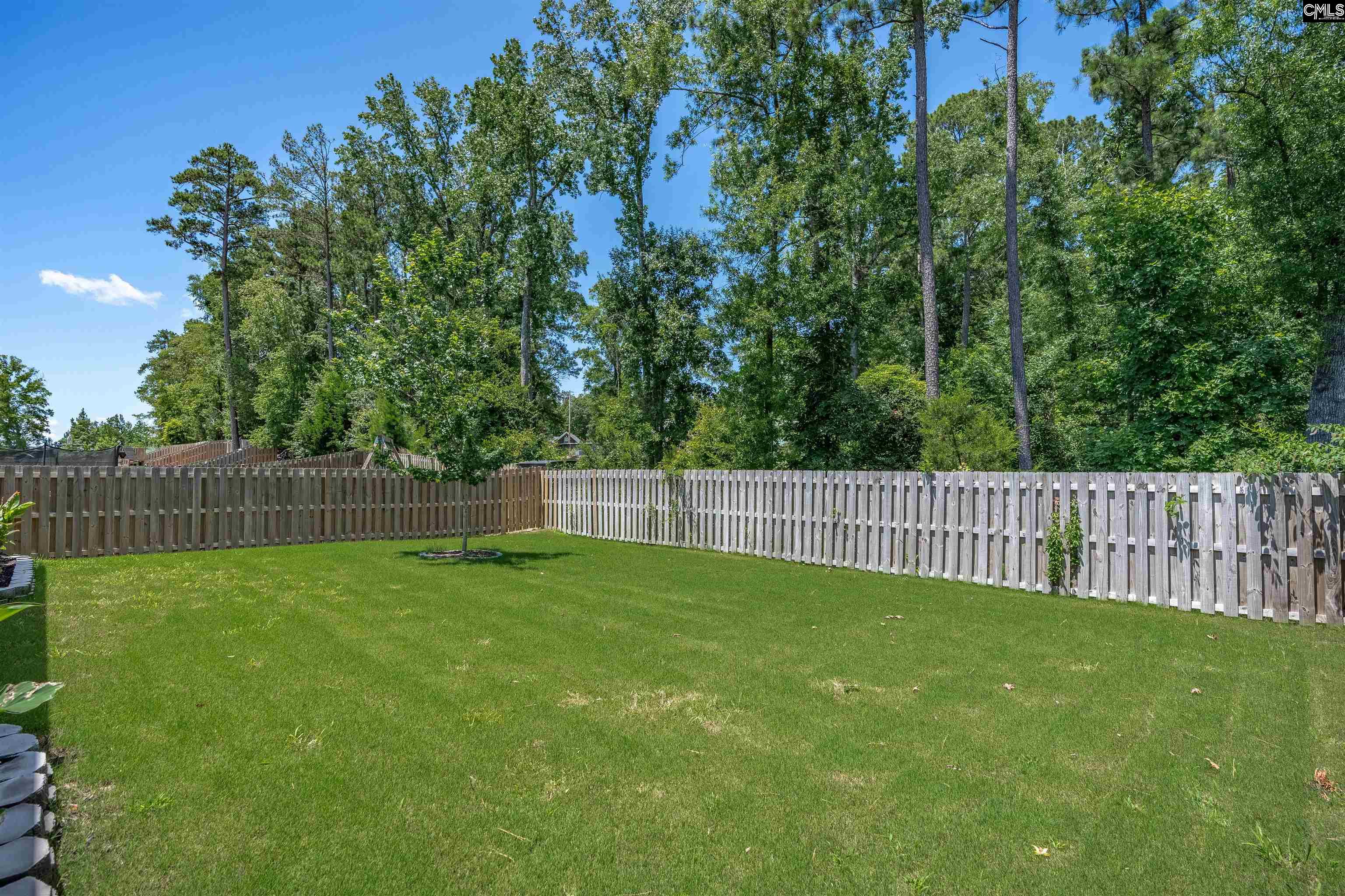 329 Sycamore Crest Way Chapin, SC 29036 - Photo 38 of 43