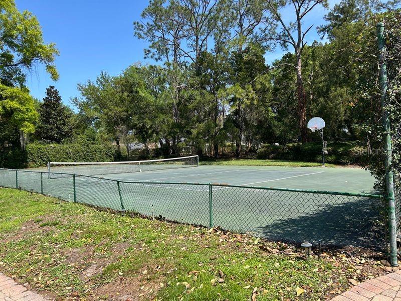 2844 Midsummer Drive Windermere, FL 34786 - Photo 11 of 12