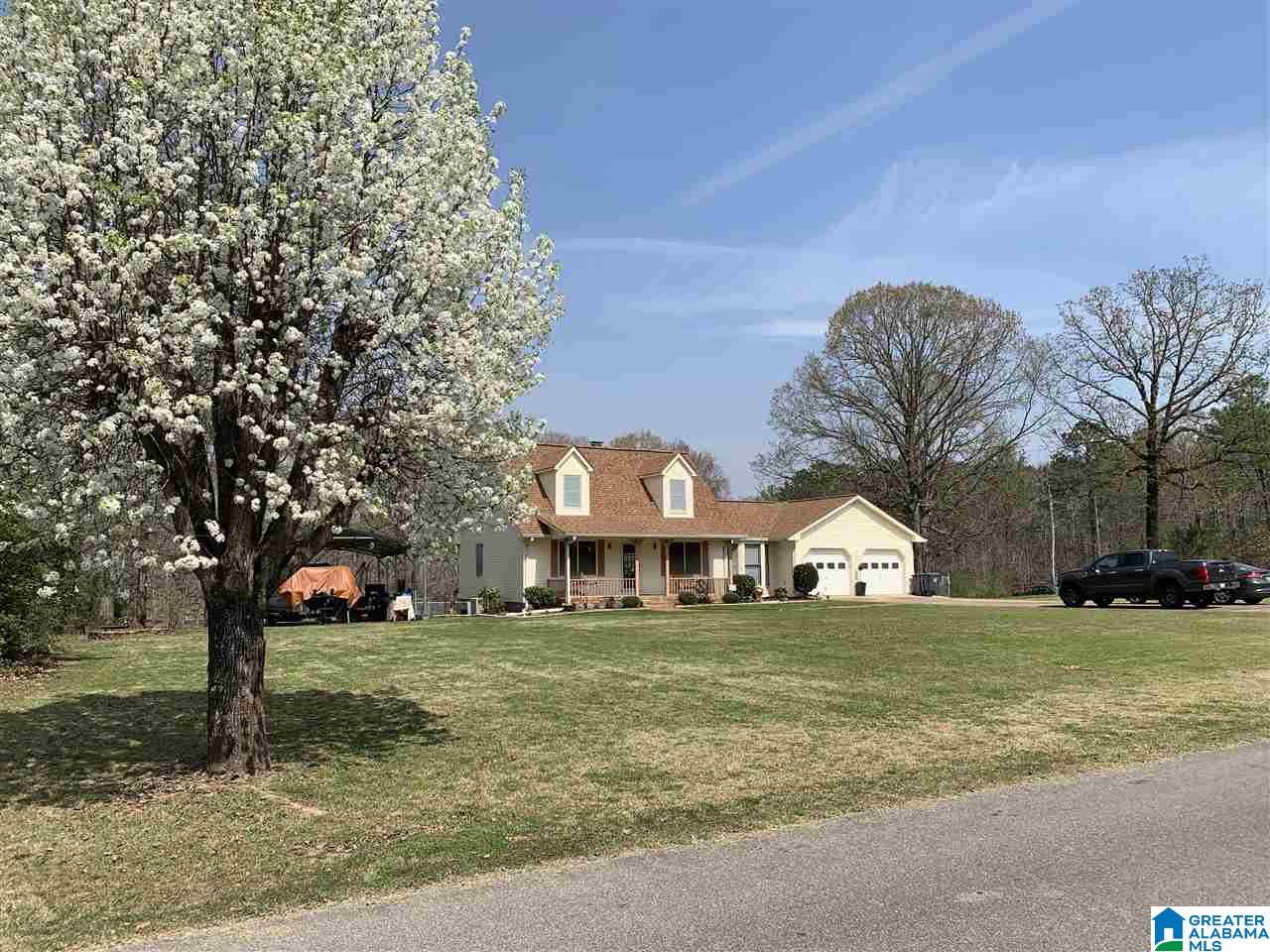 720 Big Rock Road Pell City, AL 35128 - Photo 2 of 47