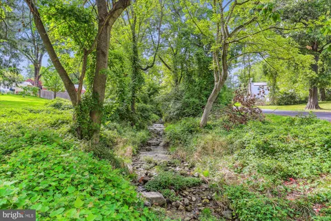 a view of yard with green space