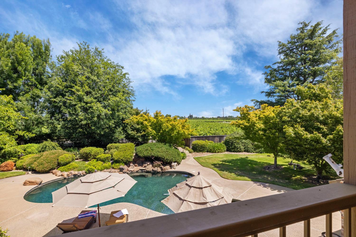 7583 East Realty Road Lodi, CA 95240 - Photo 11 of 41 Imagine coffee on the balcony and this view every morning! View from the primary suite's balcony.