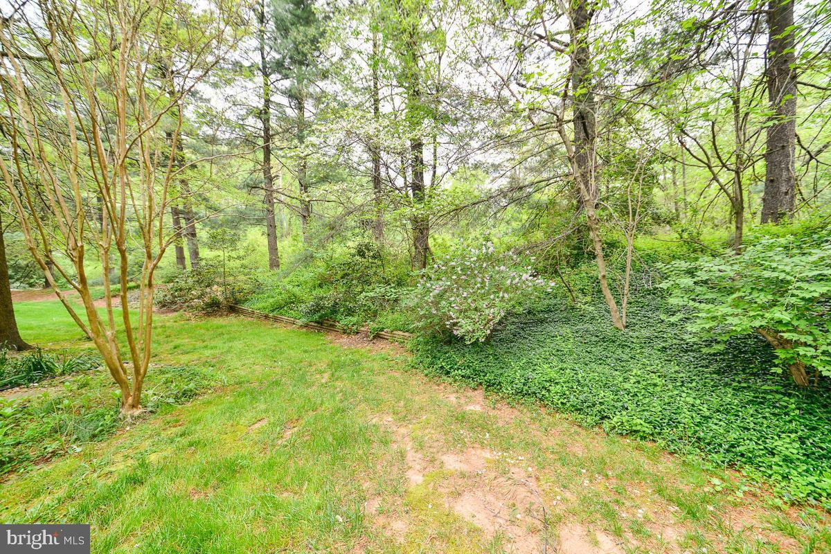11187 Saffold Way Reston, VA 20190 - Photo 27 of 27 a view of yard with green space