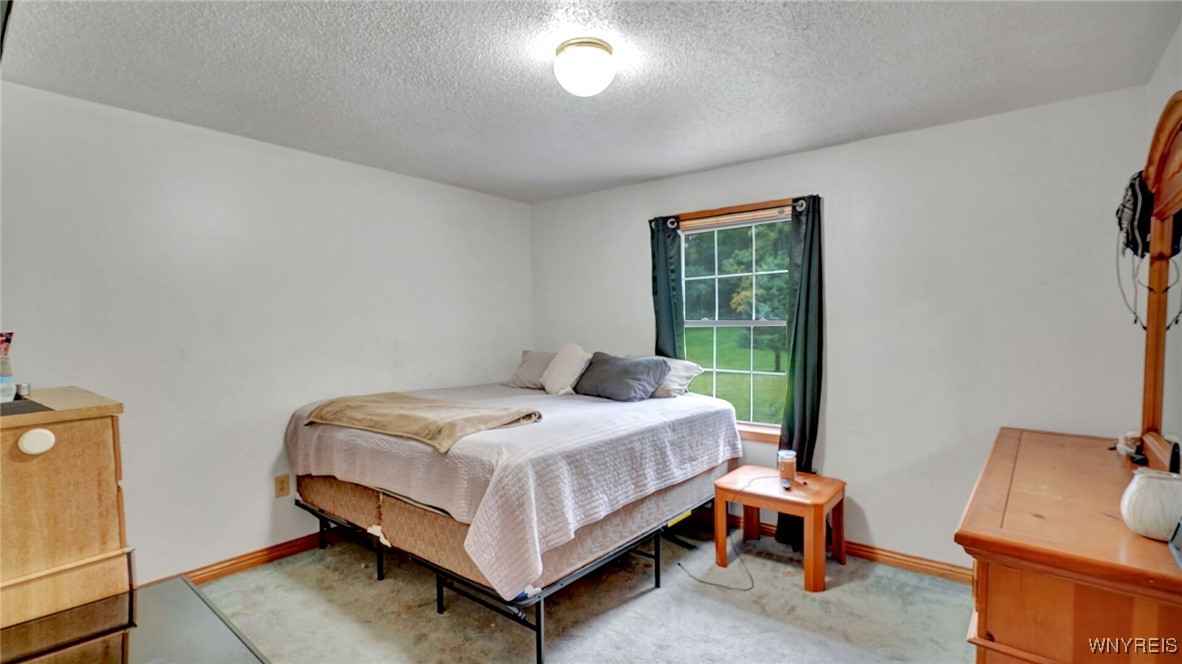 3352 Telegraph Road Eagle, NY 14024 - Photo 15 of 36