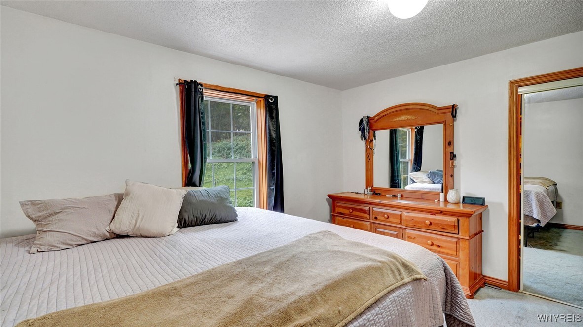 3352 Telegraph Road Eagle, NY 14024 - Photo 16 of 36