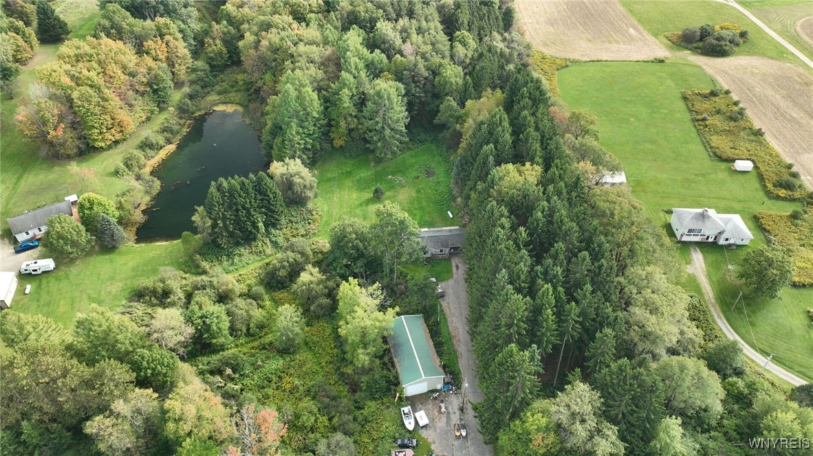 3352 Telegraph Road Eagle, NY 14024 - Photo 29 of 36