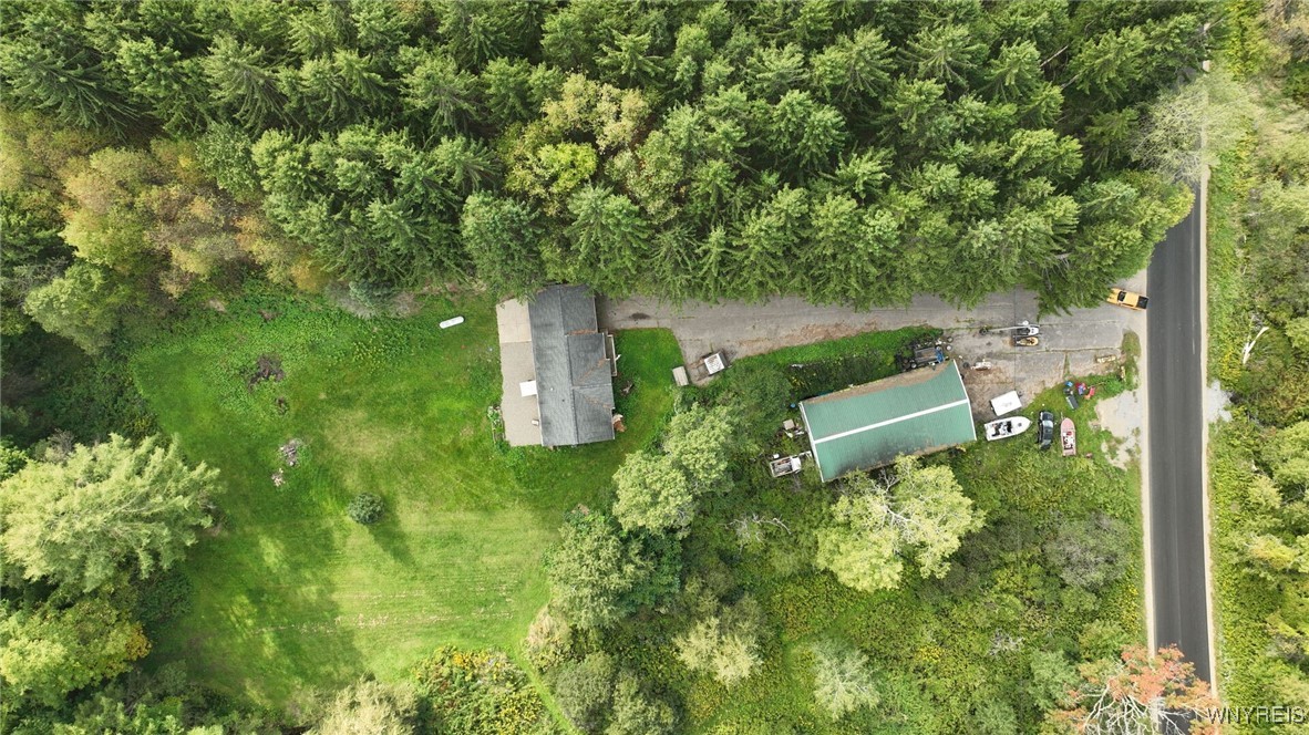 3352 Telegraph Road Eagle, NY 14024 - Photo 31 of 36