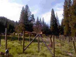 399 Rush Creek Road Lewiston, CA 96052 - Photo 2 of 2 Listing Photo