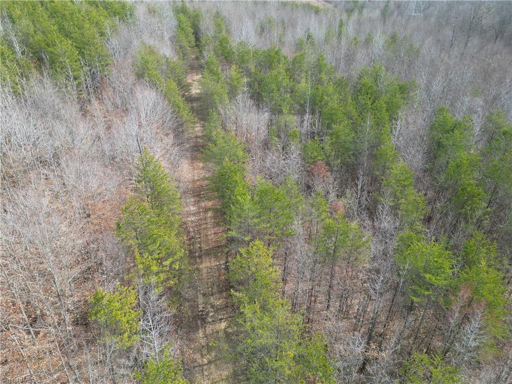1200 Purcell Road Reidsville, NC 27320 - Photo 20 of 50