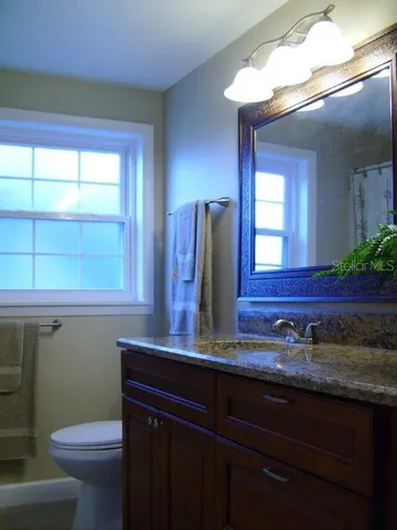 a bathroom with a sink a toilet and mirror