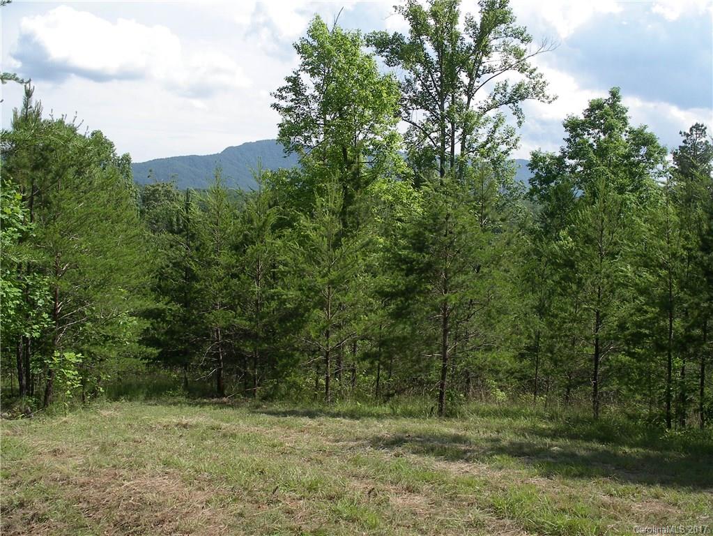 2-3 Parkway North Rd Mill Spring Mill Spring, NC 28756 - Photo 2 of 11 a big yard with lots of green space and house