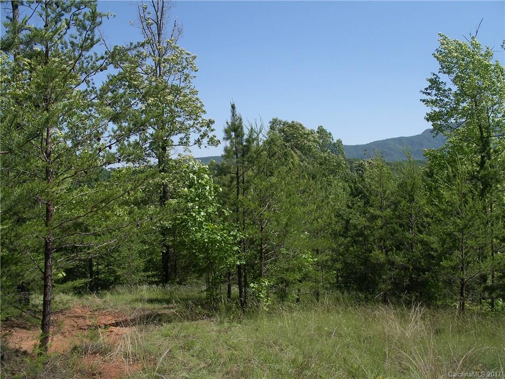 2-3 Parkway North Rd Mill Spring Mill Spring, NC 28756 - Photo 11 of 11 a view of a lush green forest