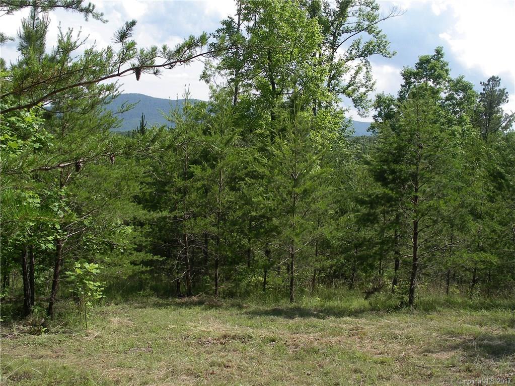 2-3 Parkway North Rd Mill Spring Mill Spring, NC 28756 - Photo 3 of 11 a view of a yard