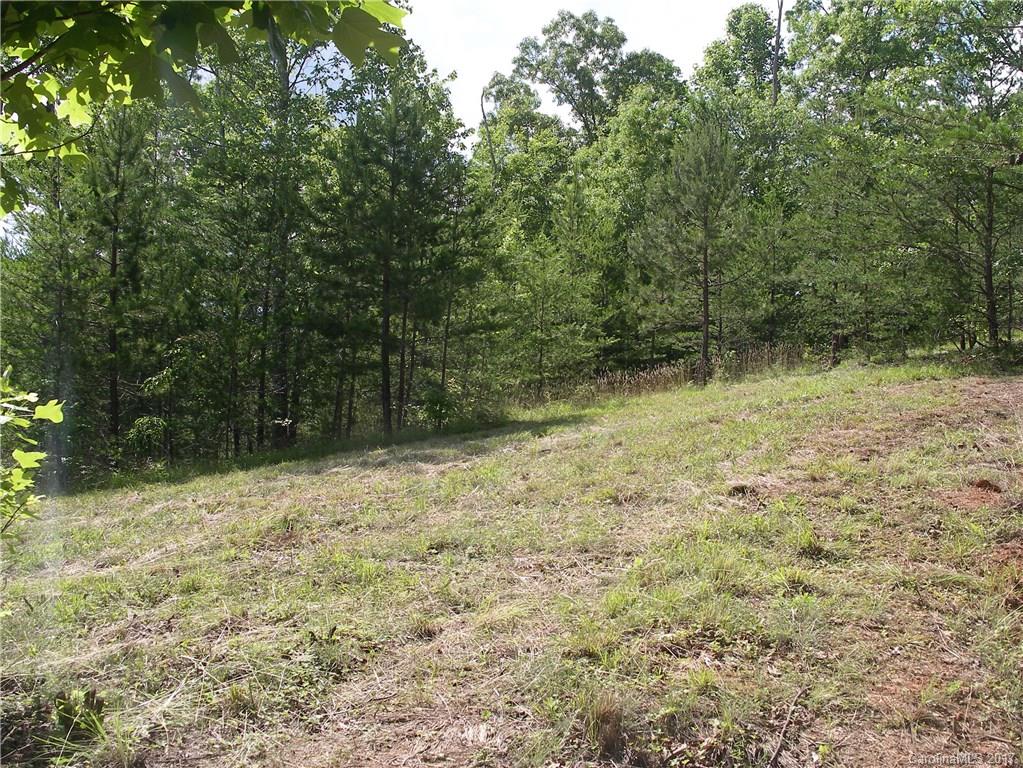 2-3 Parkway North Rd Mill Spring Mill Spring, NC 28756 - Photo 4 of 11 a view of backyard with green space